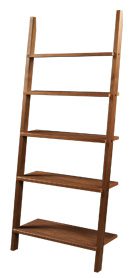 Linden Leaning Bookcase