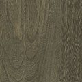 Elm: Driftwood (FC 11434)