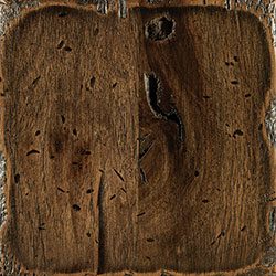 Rustic Hickory: Distressed Weathered Treebark (SP-166)
